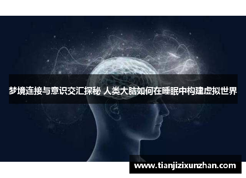 梦境连接与意识交汇探秘 人类大脑如何在睡眠中构建虚拟世界